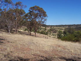 Onkaparinga River National Park - Accommodation QLD 0