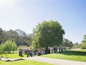 Howard Vineyard - Accommodation QLD 1