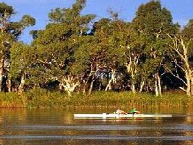 Martin Bend Reserve - Accommodation QLD 0