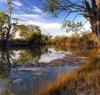 Murray River National Park - Accommodation QLD