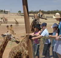 Monarto Open Range Zoo - Accommodation QLD