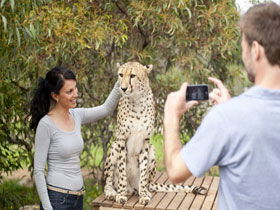 Monarto Open Range Zoo - Accommodation QLD 1
