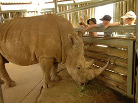 Monarto Open Range Zoo - Accommodation QLD 2