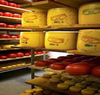 Alexandrina Cheese Company - Accommodation QLD