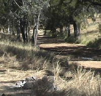 Chudleigh Park Gem Fields - Accommodation QLD