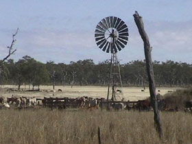 Chudleigh Park Gem Fields - Accommodation QLD 1