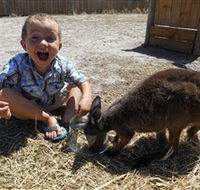 Animal Farm Goolwa - Accommodation QLD