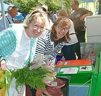 Victor Harbor Farmers Market - Accommodation QLD