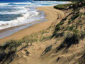Waitpinga SA Accommodation QLD