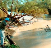 Charleville - Ward River Fishing Spot - Accommodation QLD
