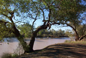 Charleville - Bakers Bend Warrego River Fishing Spot - Accommodation QLD 1