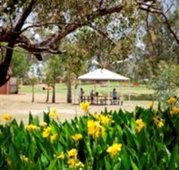 Charleville - Graham Andrews Parklands - Accommodation QLD