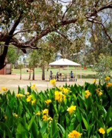 Charleville - Graham Andrews Parklands - Accommodation QLD 0