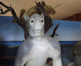 Wentworth Pioneer Museum - Accommodation QLD 4