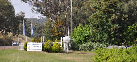 Bell River Estate Winery - Accommodation QLD 2