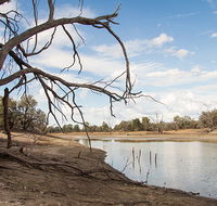 Toorale National Park - Accommodation QLD