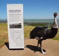 Birdman of the Coorong - Accommodation QLD