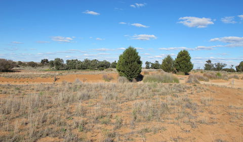 Zanci Pastoral Loop - Accommodation QLD 3