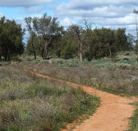 Grasslands Nature trail - Accommodation QLD