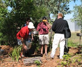 Mount Surprise Gems - Accommodation QLD 2