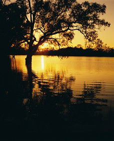 Hattah-Kulkyne National Park - Accommodation QLD 0