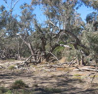 Mirri Mirru Yurun - Accommodation QLD