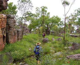 Barrk Sandstone Walk - Accommodation QLD 2