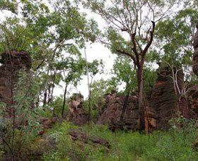 Barrk Sandstone Walk - Accommodation QLD 1