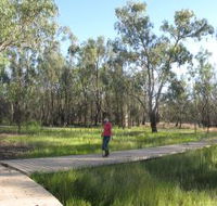 Ben Scott Memorial Bird Trail - Accommodation QLD