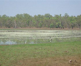 Leaning Tree Lagoon Nature Park - Accommodation QLD 0