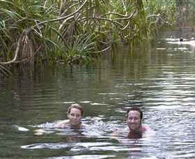 Berry Springs Nature Park - Accommodation QLD 1