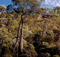 Ka Ka Mundi Carnarvon National Park - Accommodation QLD