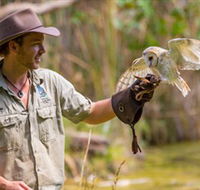 Territory Wildlife Park - Accommodation QLD