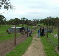 Avenue Emus - Accommodation QLD