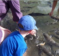 Aquascene - Accommodation QLD