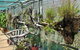 George Brown Darwin Botanic Gardens - thumb 5