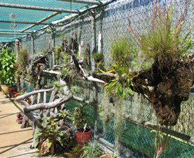 George Brown Darwin Botanic Gardens - Accommodation QLD 5