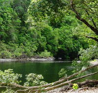 Broadwater Abergowrie State Forest - Accommodation QLD