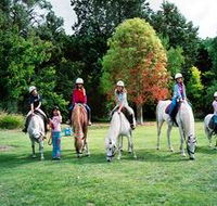 Limestone Coast Horseriding - Accommodation QLD