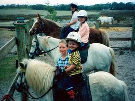 Limestone Coast Horseriding - Accommodation QLD 1
