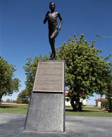 Railway Park Dirranbandi - Accommodation QLD 1