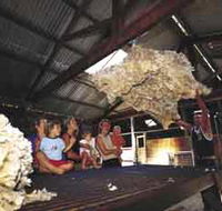 Shear Outback the Australian Shearers Hall of Fame - Accommodation QLD