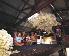 Shear Outback The Australian Shearers Hall Of Fame - Accommodation QLD 0