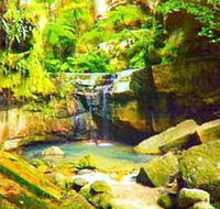 Carnarvon Gorge Carnarvon National Park - Accommodation QLD
