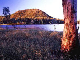Nuga Nuga National Park And Lake Nuga Nuga - Accommodation QLD 2