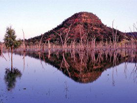 Nuga Nuga National Park And Lake Nuga Nuga - Accommodation QLD 3