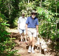 Wongabel State Forest - Accommodation QLD