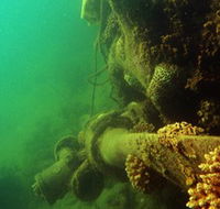 Wreck Diving at Magnetic Island - Accommodation QLD