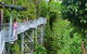 Mamu Tropical Skywalk - thumb 0