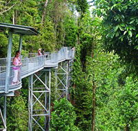 Mamu Tropical Skywalk - Accommodation QLD